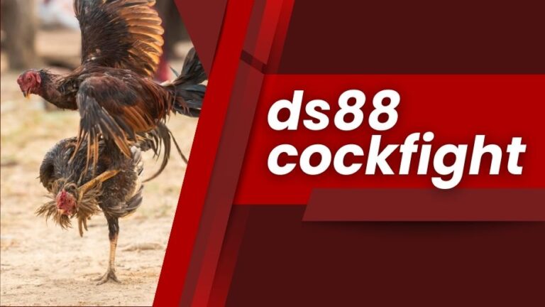 DS88